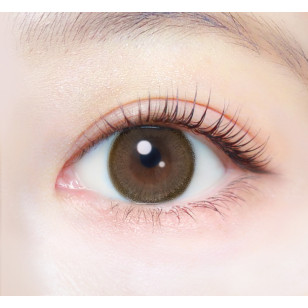 EverColor1day – Natural Natural Mocha 日拋 每盒20片